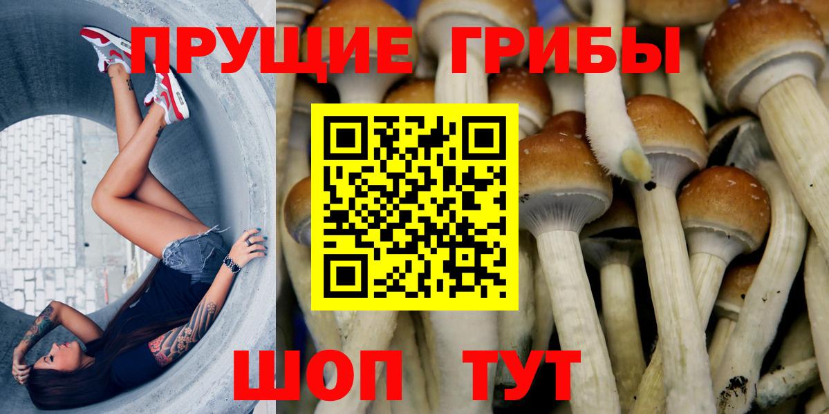 ГЕРОИН  Энгельс  Вход с VPN  Каннабис  МЕФ кристаллы  Продажа наркотиков  Гашиш 