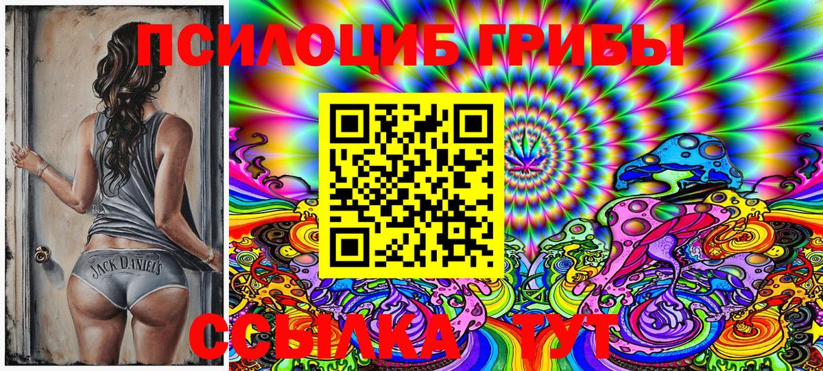Галлюциногенные грибы Psilocybe Энгельс
