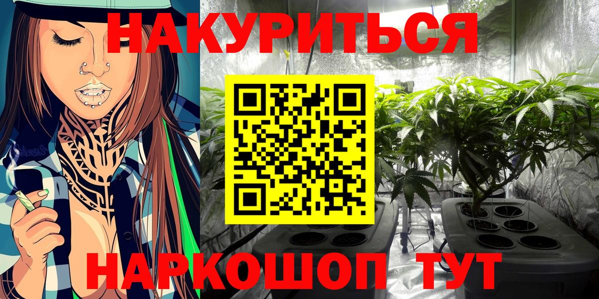 Энгельс  Бошки марихуана план  МАРИХУАНА тримм  Вход с VPN  Марихуана OG Kush 